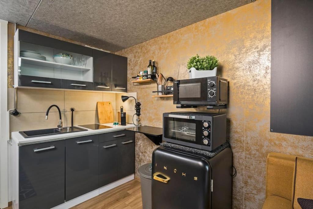 Dresden Loft An Der Elbe Apartman Kültér fotó